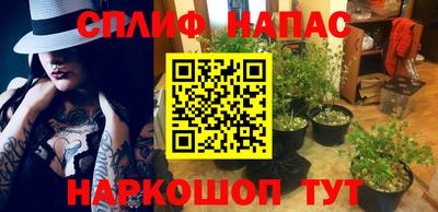 PSILOCYBIN Обнинск