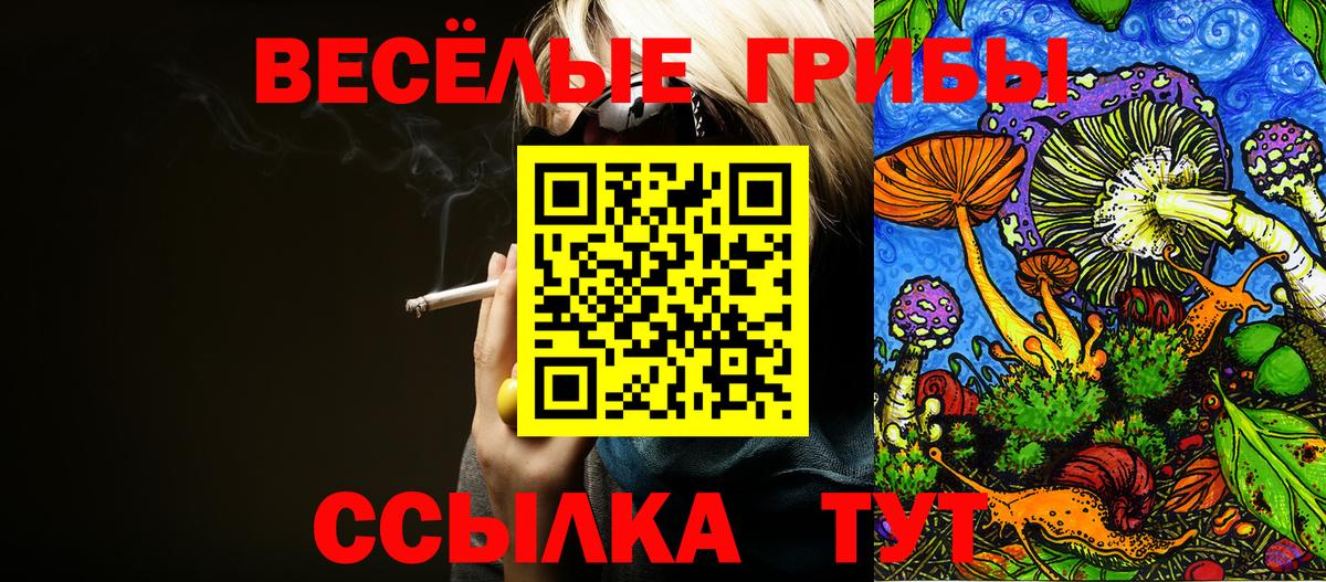 Псилоцибиновые грибы Cubensis Свободный