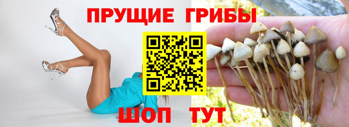 Псилоцибиновые грибы ЛСД  Вход с VPN  Свободный  Псилоцибиновые грибы мухоморы 